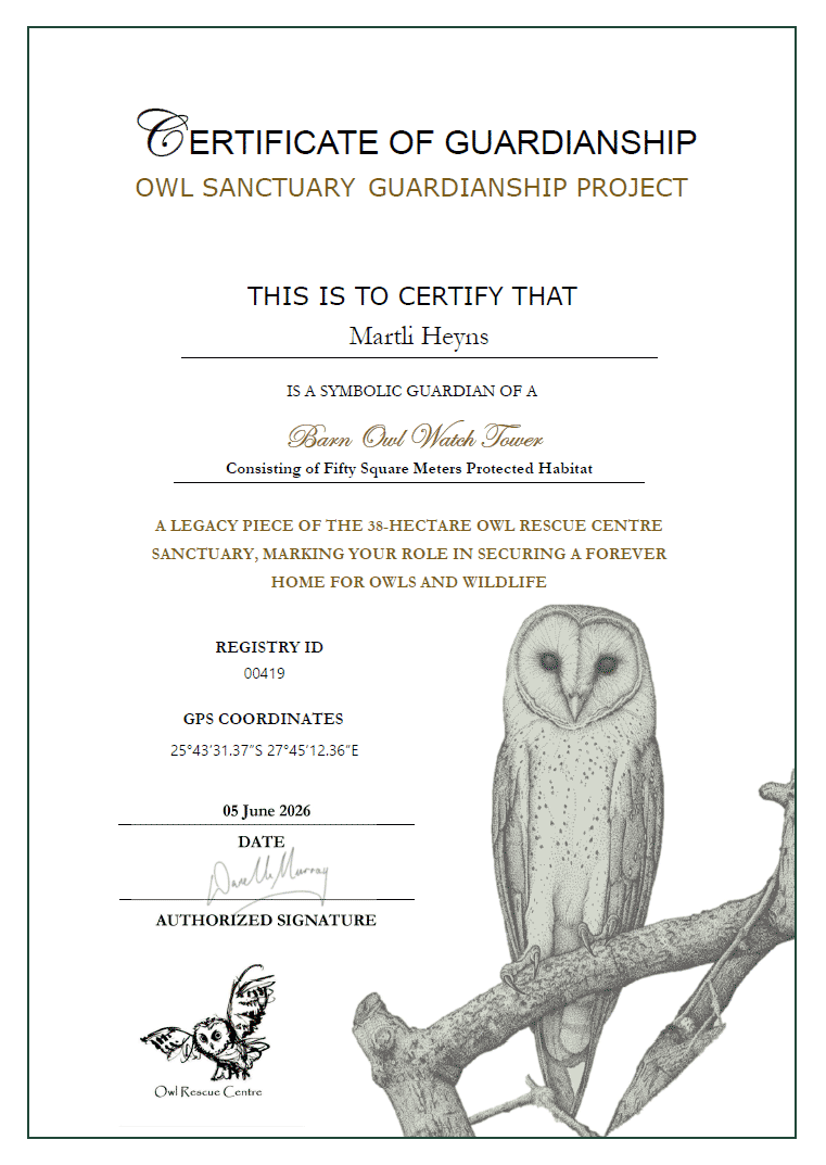 Certificate-of-Guardianship