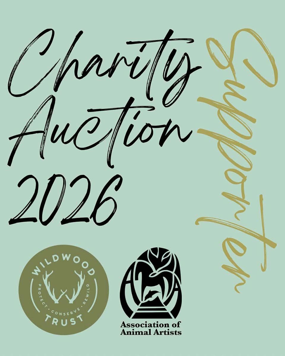 AAA Charity Auction supporter